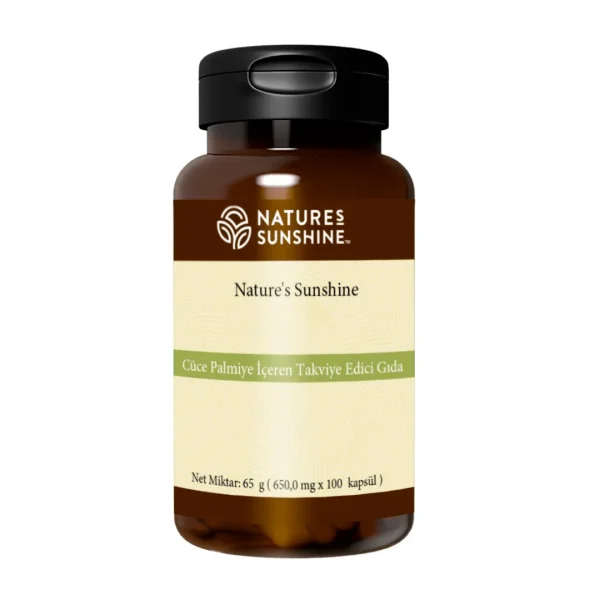 Cüce palmiye (Saw Palmetto)